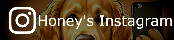 Honey Instragram